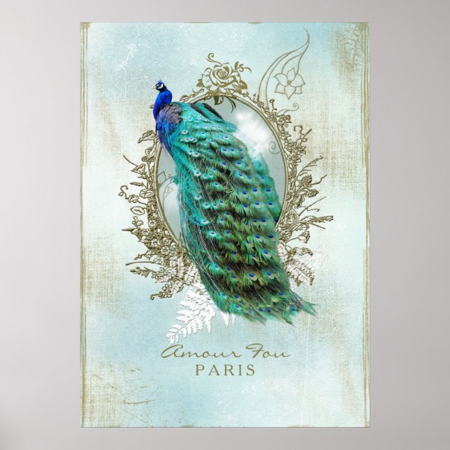 Turquoise Shabby Peacock - Poster (Front)