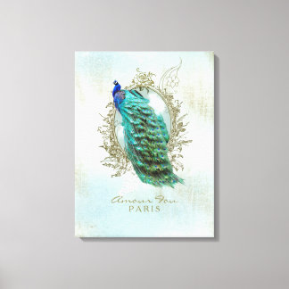 Turquoise Shabby Peacock - Wrapped Canvas