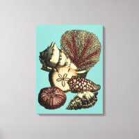 Turquoise Shell and Red Coral Collection