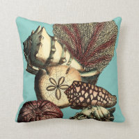 Turquoise Shell and Red Coral Collection