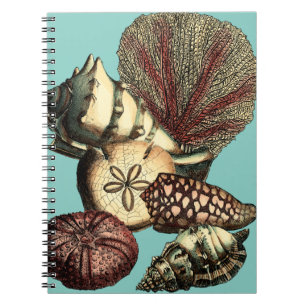 Turquoise Shell and Red Coral Collection Spiral Notebook