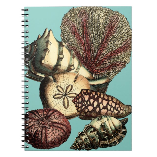 Turquoise Shell and Red Coral Collection Spiral Notebook (Front)
