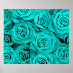 Turquoise Spectacular Roses Poster