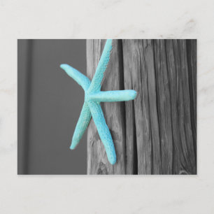Turquoise Starfish Coastal Postcard