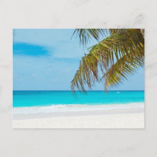 Turquoise Tropical Beach Postcard