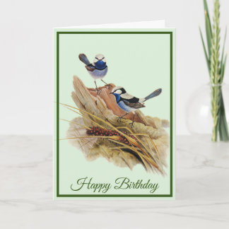 Turquoisine Superb Warbler Card