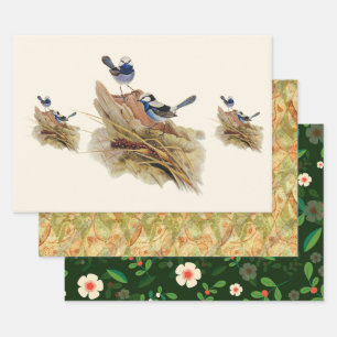 Turquoisine Superb Warbler Wrapping Paper Sheet