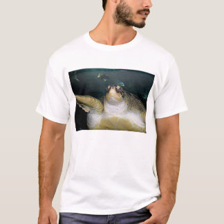 Turtle 2 T-Shirt