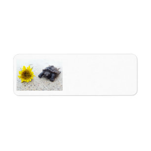 Turtle and dandelion label