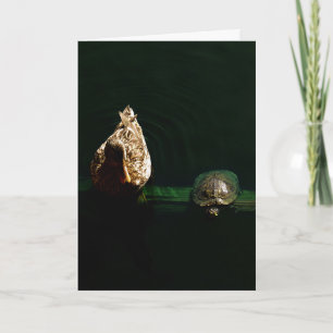 Turtle and Duck Art Photograph Card