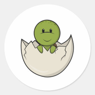 Turtle as Baby with Egg shell Classic Round Sticker