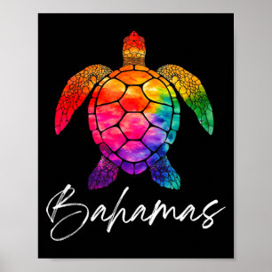 Turtle bahamas souvenir_bahamas poster