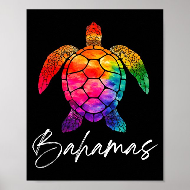 Turtle bahamas souvenir_bahamas  poster (Front)