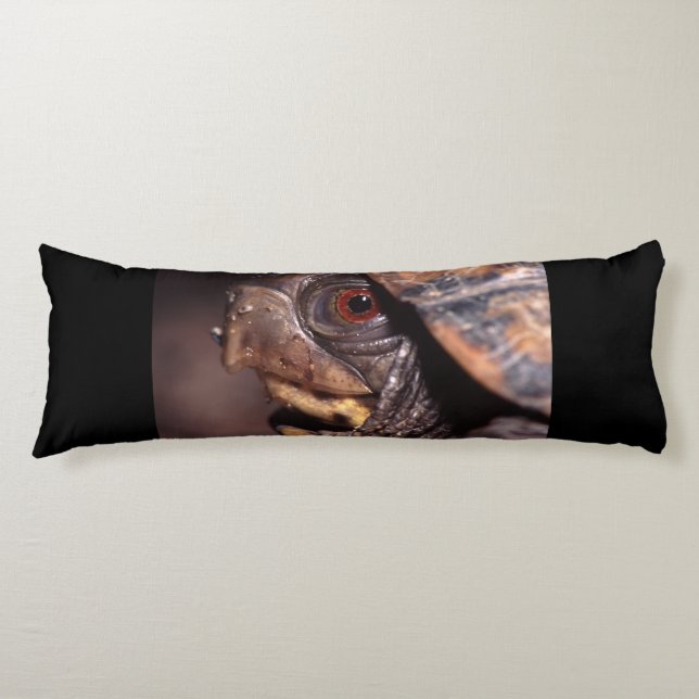 turtle body cushion (Front)