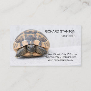 Turtle Business Card