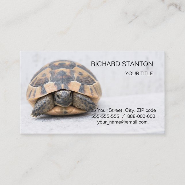 Turtle Business Card (Front)