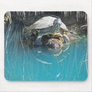 Turtle by Water with Reflection Photo Lake Animal Mouse Pad
