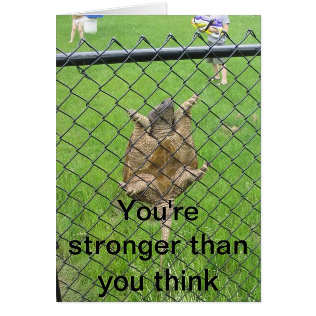 Turtle climbing fence (Front)