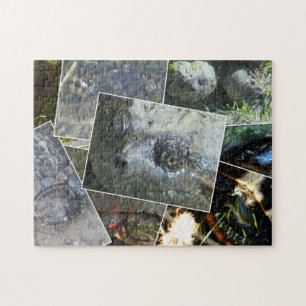 Turtle Collage Jigsaw Puzzle