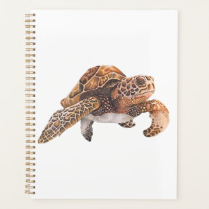 Turtle Copy Copy Copy Copy Copy Copy Copy Copy Cop Planner