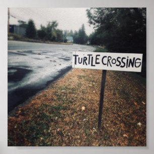 turtle crossing poster