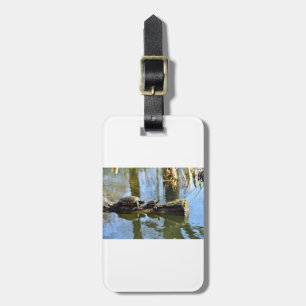 Turtle Cute Animal Office Custom Destiny Destiny'S Luggage Tag