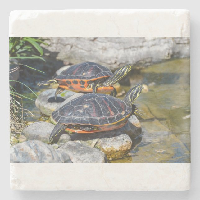Turtle Cute Animal Office Custom Destiny Destiny'S Stone Coaster (Front)