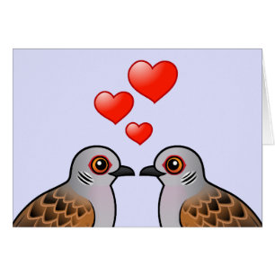Turtle Doves in Love