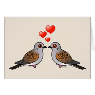 Turtle Doves in Love