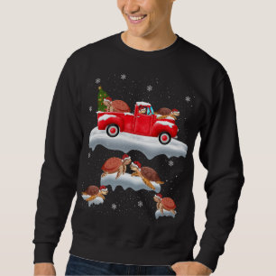Turtle Driving Christmas Tree Red Truck Turtle Chr Sweatshirt
