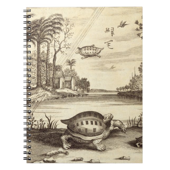 Turtle Eggs Hatching, from 'China Illustrated' by Spiral Notebook (Front)