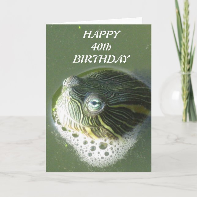 Turtle Eyes Birthday Cards (Front)