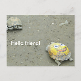 Turtle fan SpongeBob Postcard