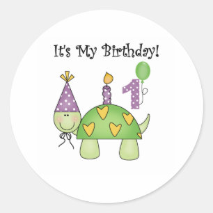 Turtle First Birthday Classic Round Sticker