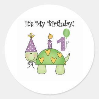Turtle First Birthday Classic Round Sticker