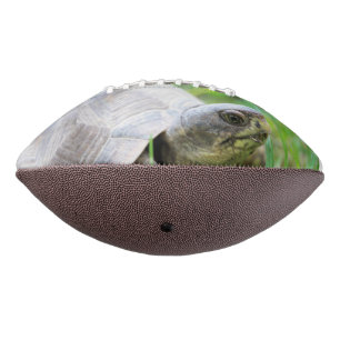 Turtle Football