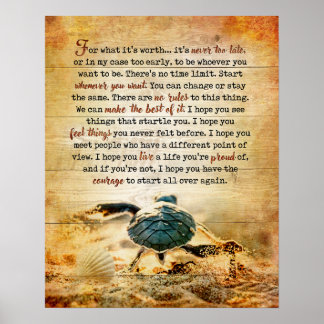 Turtle For What Inspirational & Motivational Poster