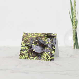 Turtle Friendship Greeting Card