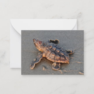 Turtle Hatchling note card