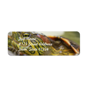 Turtle Identification Mailing Label