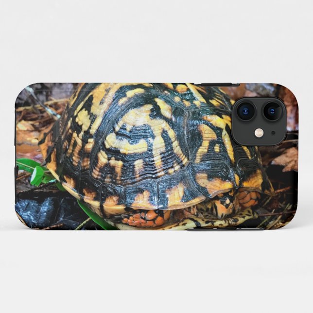 Turtle in the Forest, Chester, South Carolina Post Case-Mate iPhone Case (Back (Horizontal))