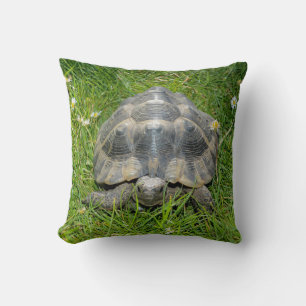 Turtle in the green grass cushion