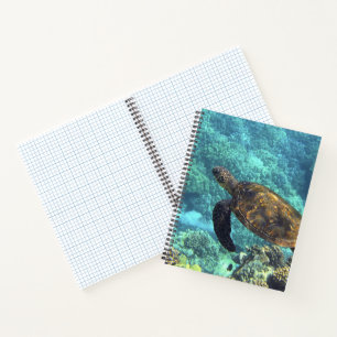 turtle in the sea notebook