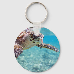 Turtle Key Ring