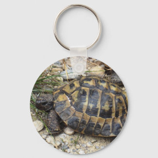 turtle key ring