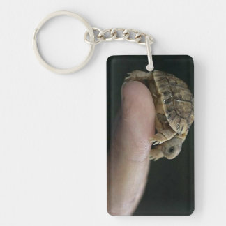 Turtle keychain