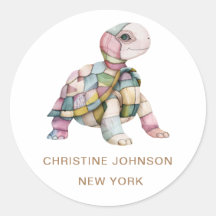 Turtle Logo