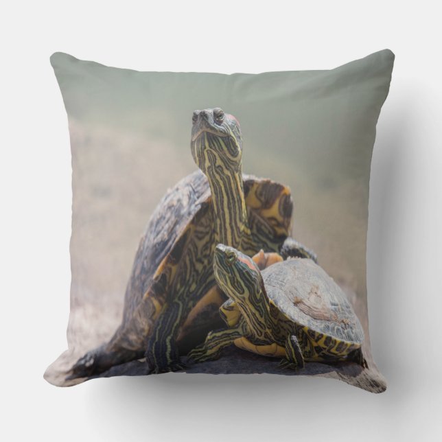 Turtle Love Outdoor Cushion (Front)