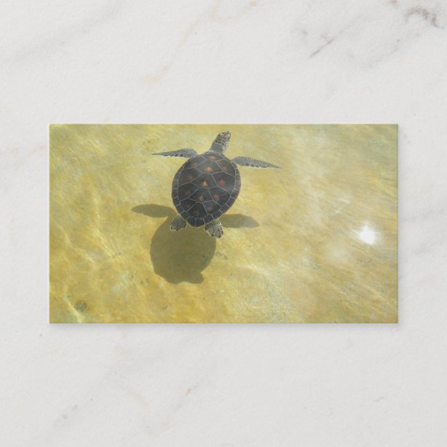 Turtle Lover Business Card (Front)