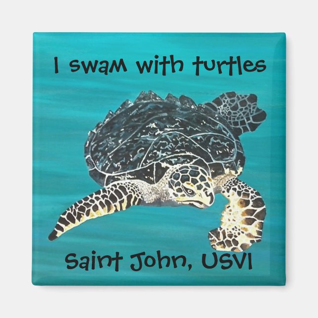Turtle magnet (Front)